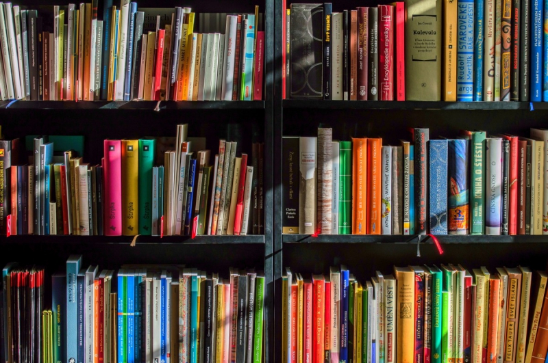 vitrine-LE CASTELLET-min_books_bookstore_book_reading_shop_writer_sale_books_read-822866